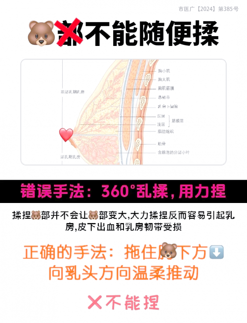 关于不当行为的反思，揉捏同桌双乳的严重后果-第2张图片