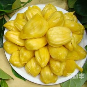 菠萝蜜app视频入口，探索未知的数字世界-第2张图片