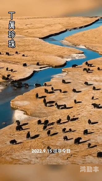 my牢记10个地址永不失联再次被发现我的10个牢记地址，永不失联的保障-第1张图片