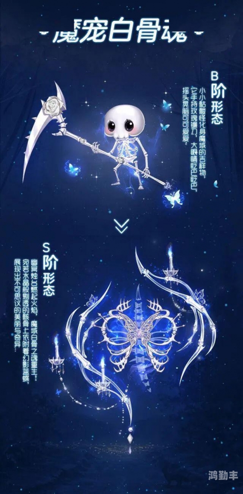 魔域礼包，神秘之礼的探索与收获-第2张图片
