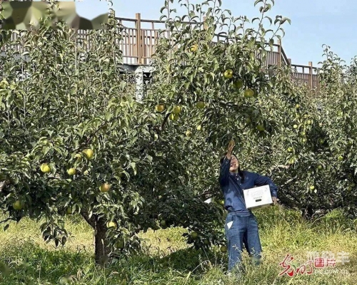 继续播放丰年探索丰年轻继坶3的特色与机能-第2张图片