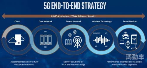 5g在视影讯天天5g忘忧草天天5G时代下的探花之旅——忘忧草的魅力-第1张图片