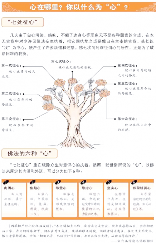 探索人体奥秘，关于WRITE AS 尿口的生理与健康探讨