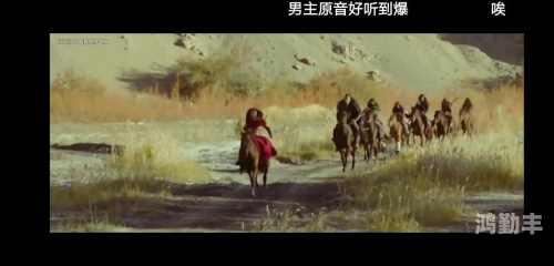 老奶奶与BGMBB的温暖故事-第2张图片