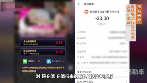 探讨电影产业中的不健康内容——以亚洲黄色一级大片为例-第2张图片