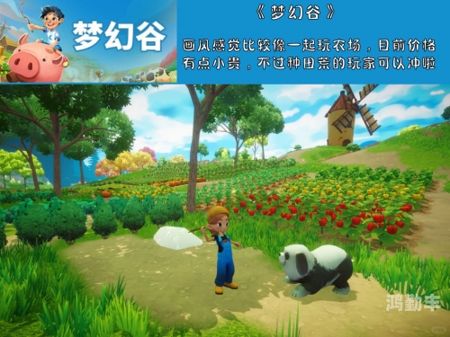 探索虚拟世界中的小乐趣——扒mm内衣小游戏