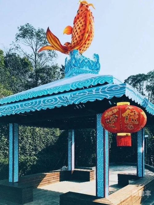 锦鲤吸水的艺术，正确姿势与技巧
