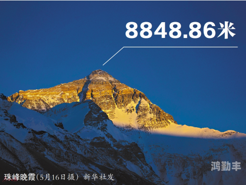 8848商务资源网，企业发展的新动力-第2张图片