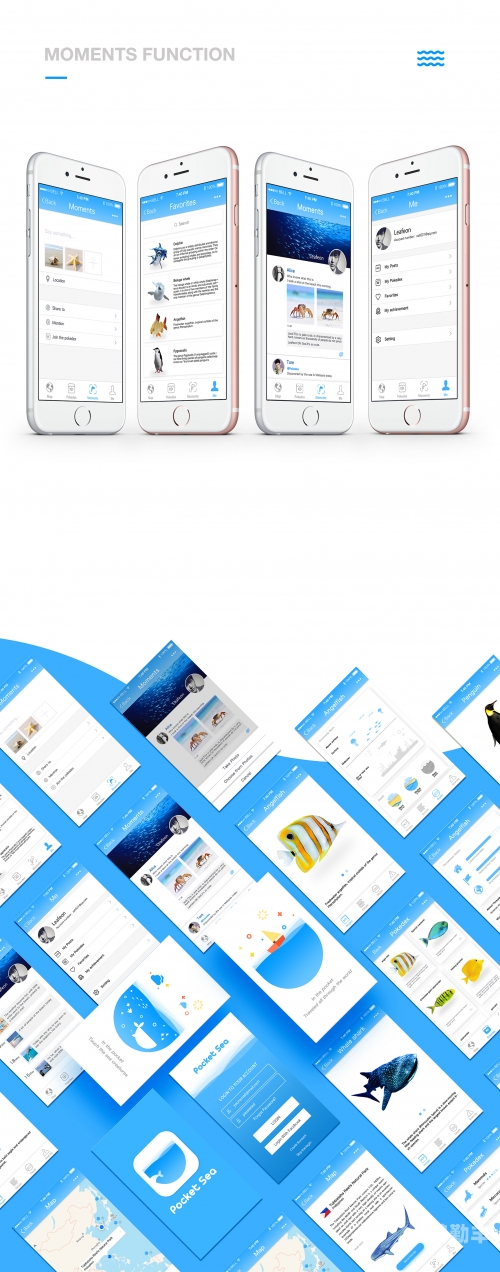 海角社区app，探索一个全新的社交互动平台-第2张图片