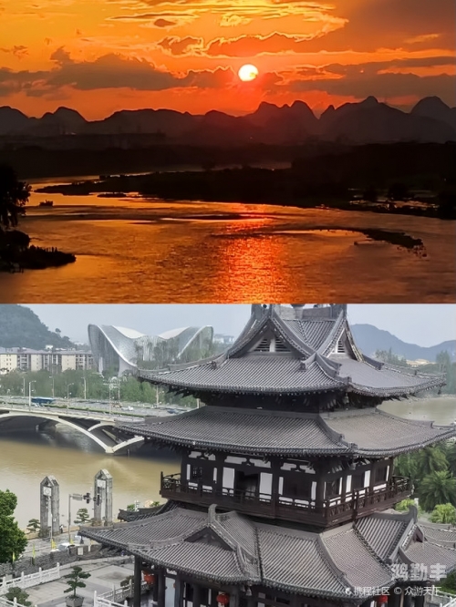 欧洲码与日本码的独特魅力，专线的选择与解析-第2张图片