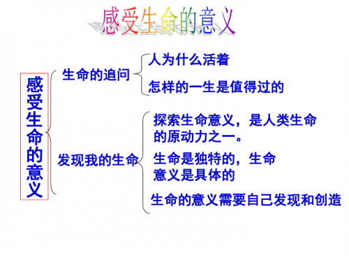 绽放的意思探索与突破，Zhanfa的多元应用与未来展望-第3张图片