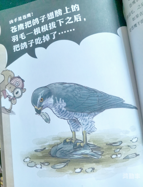探索大屄的奥秘