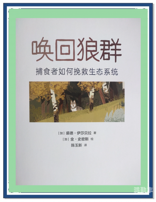 狼群社区高清视频在线观看，免费体验自然界的团结与力量