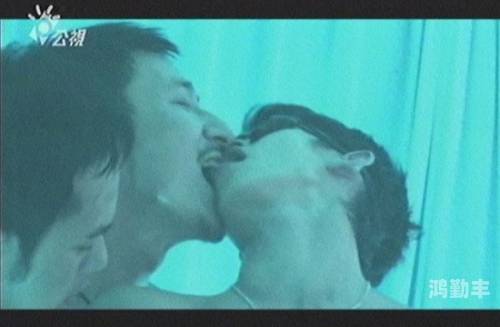 探索与理解，欧美男同志网站的作用与影响