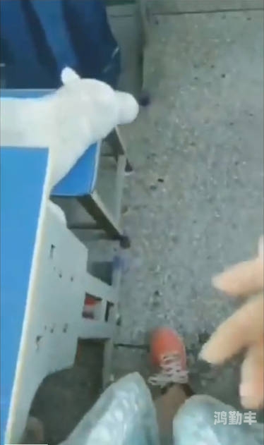 老师摸学生是什么心理网络谣言的危害，关于不实视频的探讨-第3张图片