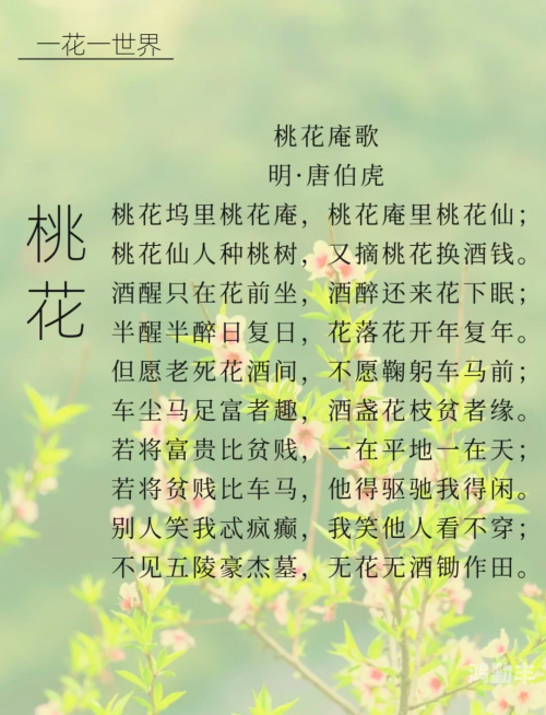 桃花妖桃花妖，一段美丽的传说