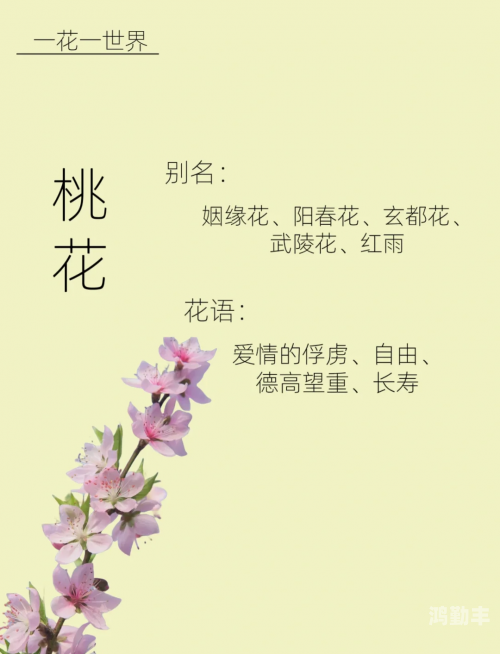 桃花妖桃花妖，一段美丽的传说-第2张图片