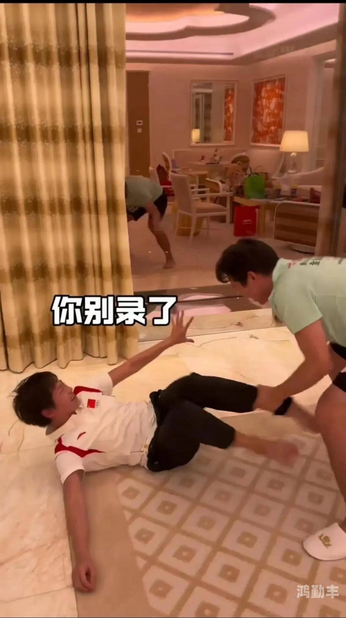 免费观看啪视频与免费视频资源探索-第2张图片