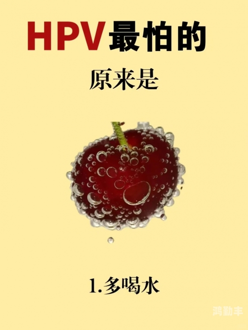 正能量网站WWW正能量你懂我意思正能量网站——WWW正能量，你懂我意思-第3张图片