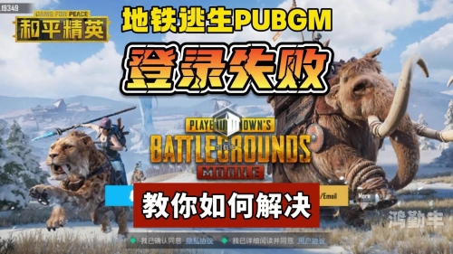 b站刺激战场视频播放时长多少B站刺激战场视频，战场风云的记录与解析