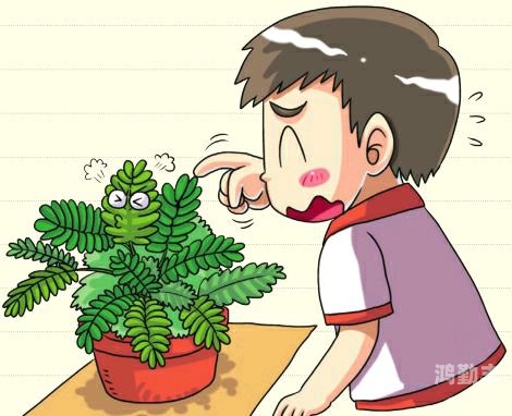含羞草传媒隐藏路线2023漫画含羞草传媒，隐藏路线2023漫画之旅-第1张图片