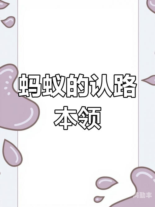 探索jusedaohang的魅力与价值-第1张图片