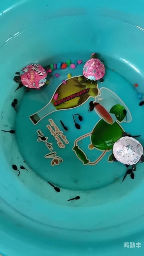 小蝌蚪视频xkdspapp官网在线小蝌蚪视频，免费在线观看与下载体验-第2张图片