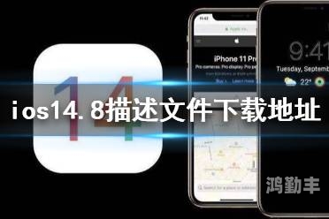 IOS16描述文件下载指南-第2张图片