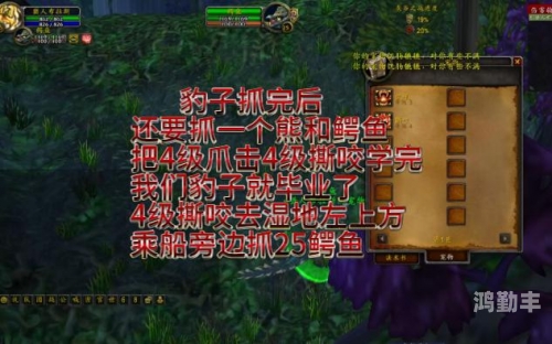 lr宝宝技能LR宝宝技能详解