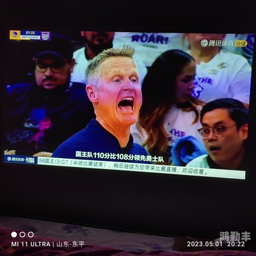 02年国王队02年国王队，荣耀背后的传奇篇章-第1张图片