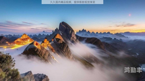 久久让视频网久久视频，探索精品63的魅力世界