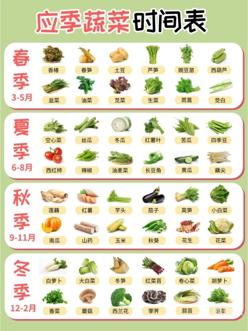秋葵草莓丝瓜黄瓜榴莲的全方位解析与健康饮食指南-第3张图片