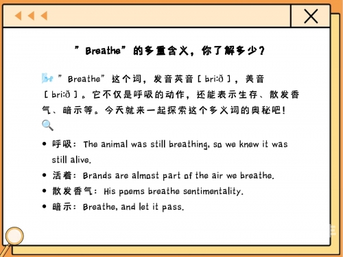 探索14MAY18的奥秘，XXXXXL56的端点与MOGO的交织-第2张图片