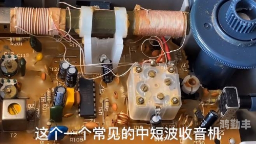 FM2012中的左后卫之星，探索与解析-第1张图片