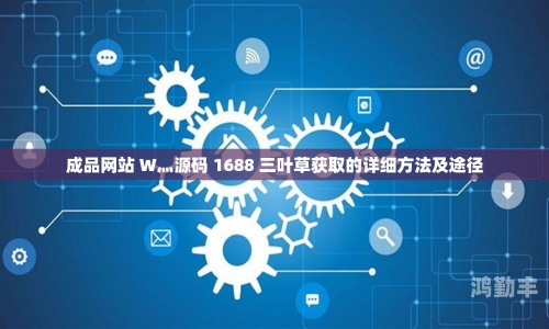 成品网站W灬源码网站在线成品网站W灬源码网站在线，探索与解析-第3张图片