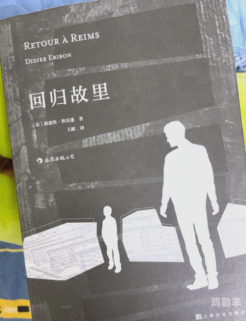 同性恋影片同性恋影片，探索情感与认同的银幕表达-第2张图片