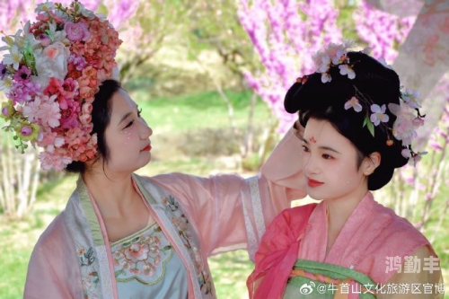 花钿蚂蚁庄园的奇妙世界