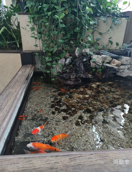 博雅视频在线观看，探索知识、享受视觉盛宴的绝佳选择