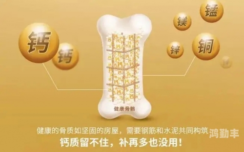 钙资源20202024GY钙站，健康生活的秘密宝藏-第1张图片