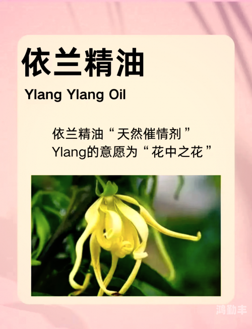 催情按摩精油，点燃欲火焚身之秘-第3张图片