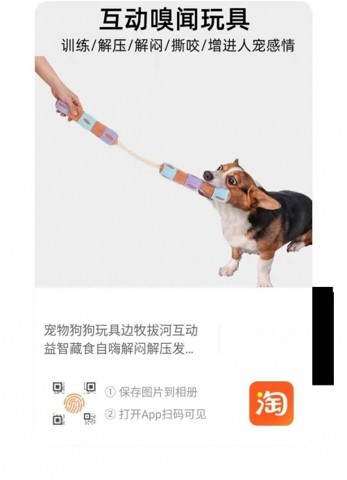 s如何调m小狗语句S如何调M小狗，一种负责任的宠物训练方法-第1张图片