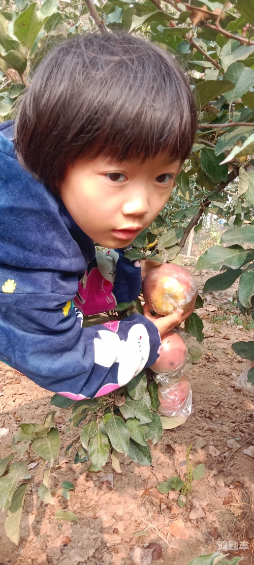 坐在上面摇来摇去摇曳之乐，探索坐在上面摇来摇去的奇妙世界