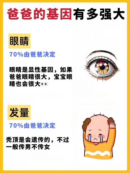 母亲的DNA与儿子的DNA，是否相同？-第3张图片