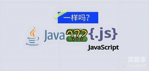 JavaScript与Java在性分类领域的应用与比较-第3张图片