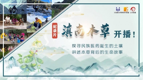 北风之望配方，古老秘方的现代解读-第2张图片
