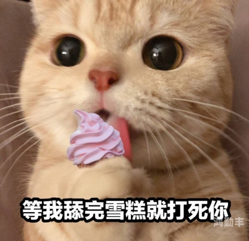 福利姬萌雪雪糕福利姬萌白酱，甜味弥漫的美丽传说——第一美女图之探索