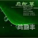 忘忧草在线影院，探索日本影视文化的魅力