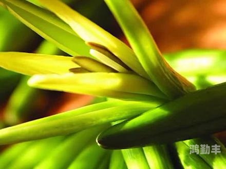 忘忧草在线影院，探索日本影视文化的魅力-第2张图片