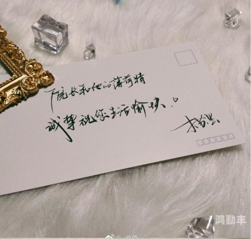 吴梦梦事件，法律之下的正义与责任
