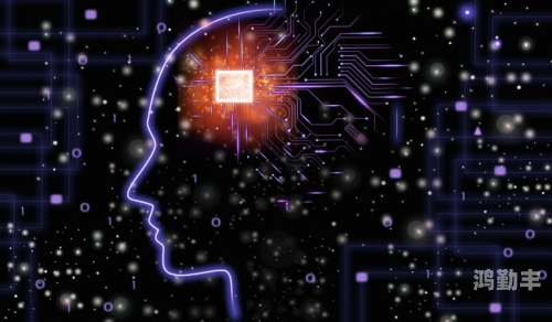 魅九网魅九网，引领数字时代的创新浪潮-第2张图片